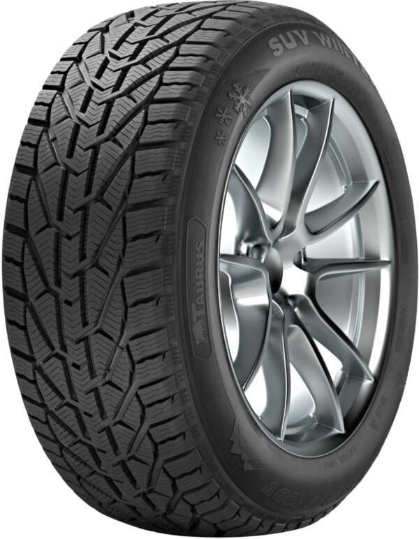 225/55R16 95H Taurus WINTER